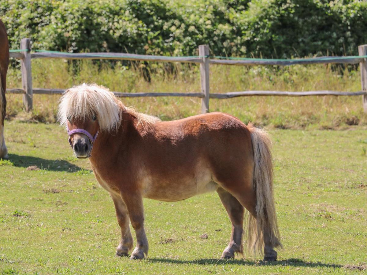 1 Paythorne Farm Cottages Henfield Dış mekan fotoğraf